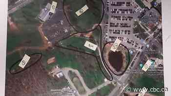 Investigators puzzled by large numbers of sick, dead crows in Charlottetown