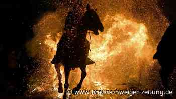 Heißes Ritual: Feuertaufe für Pferde in Spanien