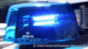 17-Jährige klammert sich fast eine Stunde von außen an Güterzug