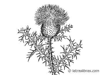 Enñoñar - LetrasLibres.com