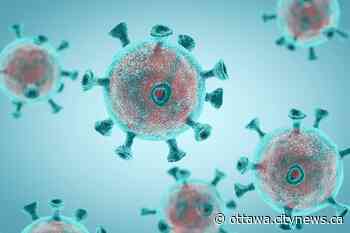 Ottawa grapples with 150 ongoing outbreaks in healthcare institutions - CityNews Ottawa