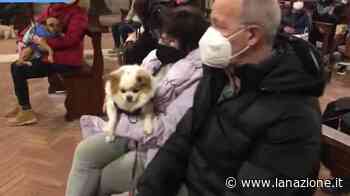 Siena, la benedizione degli animali / VIDEO - LA NAZIONE