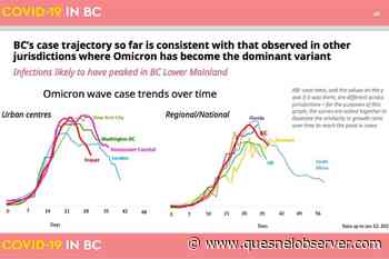 B.C.’s Omicron wave following world pattern of peaking, declining - Quesnel - Cariboo Observer