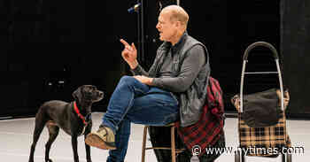 In a Double Bill, the Avant-Garde Meets a Very Good Girl