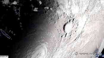 Fluch und Segen der Lavariesen