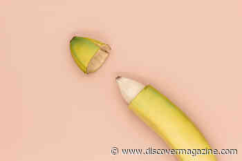 Where Has Science Settled Around Foreskin?