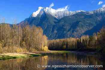 Budget feedback for 2022 sought from Chilliwack residents – Agassiz Harrison Observer - Agassiz Harrison Observer