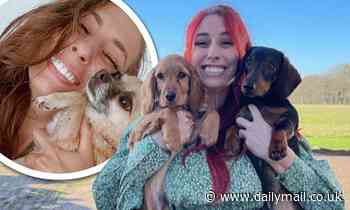 Stacey Solomon shares photo of new puppy Teddy just weeks after she beloved dog Theo died