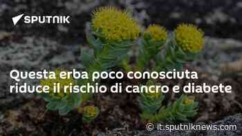 Questa erba poco conosciuta riduce il rischio di cancro e diabete - Sputnik Italia