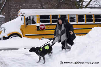 Winter storm causing school closures, transportation disruptions in parts of Ontario