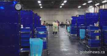 Edmonton lab to offer at-home PCR testing as Alberta Health continues to limit access - Globalnews.ca