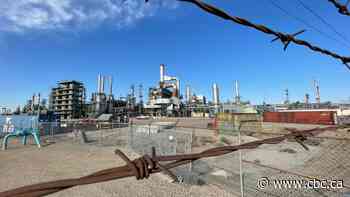 $2B renewable diesel, canola-crushing plant to be built in Regina