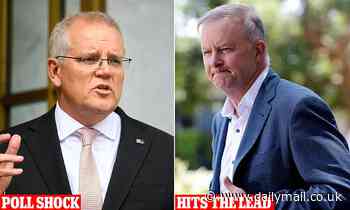 Scott Morrison election year poll shock as Labor surges to lead on a critical metric - Daily Mail