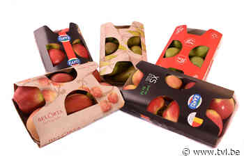 Productomzet BelOrta divisie fruit Borgloon, eerder normaal - TV Limburg
