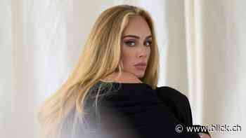 Mit Blick nach Las Vegas ans Konzert von Superstar Adele - BLICK.CH