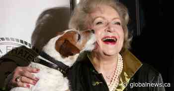 Betty White Challenge raises roughly $200K for Alberta animal groups