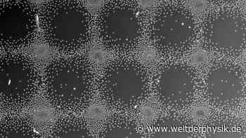 Plastikkugeln unter Spannung - Welt der Physik