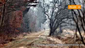 Soll der Neu-Ulmer Erholungswald zum Feuchtgebiet werden?