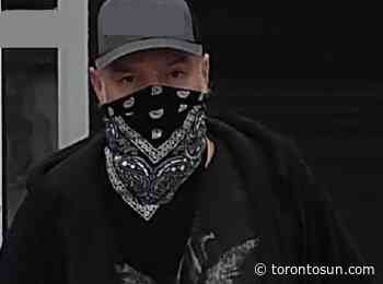 Man exposed himself in Alliston business: OPP - Toronto Sun