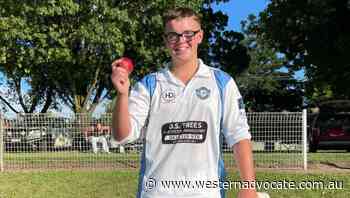 Angus Phillips take 5-15 in BDCA second grade debut for City Colts - Western Advocate