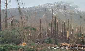 Glen Doll: Car park reopens at Angus beauty spot seven weeks after Storm Arwen - The Courier