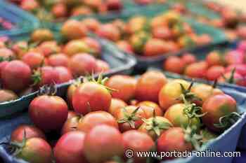 Retail Media: Sedano's Javier Herran on Custom Mag "Nuestra Sazón" - Portada-online.com