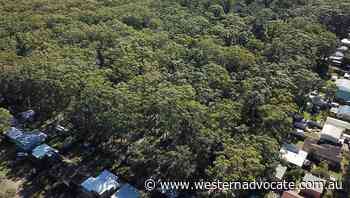 Tree changers push NSW land value up $400b - Western Advocate