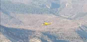 Cade da ulivo, paura per un sessantenne: elitrasportato a Roma - ciociariaoggi.it