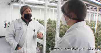 Ohio’s medical marijuana dispensary expansion creates real estate and probability frenzy - News 5 Cleveland