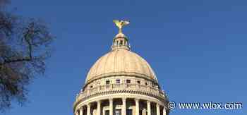 Medical Cannabis Act passes MS Senate, heads for House - WLOX