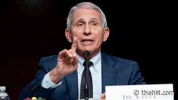 Scientists, medical professionals defend Fauci after heated exchanges with Republicans | TheHill - The Hill