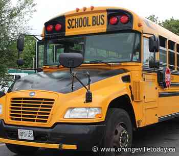 Driver absences will effect Dufferin-Peel Bus Routes - orangevilletoday.ca