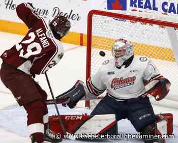 Peterborough Petes lose to Oshawa after Generals rally in third - ThePeterboroughExaminer.com