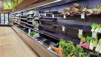 Customers rattled by empty grocery store shelves across N.B.