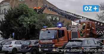 Sturmschäden in Stralsund: Bäume kippten auf Autos und Häuser - Ostsee Zeitung