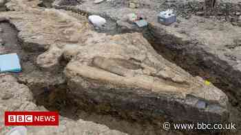 Rutland sea dragon: How remarkable ichthyosaur fossil was protected