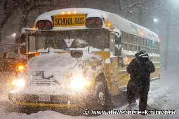 Winter storm causing school closures, transportation disruptions in parts of Ontario - Dawson Creek Mirror