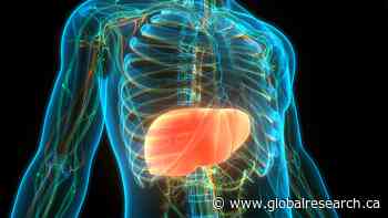 Confirmed: COVID-19 mRNA Vaccines Can Cause Severe Liver Damage
