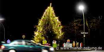 Kreisverkehr in Marl grüßt: Frühlingserwachen mit 5000 Narzissen - Marler Zeitung