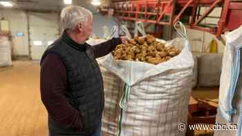 P.E.I. processing potatoes heading to Alberta french fry plant 