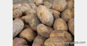 Potato crop is so large that rail transport is being used for first time in 40 years - FreshPlaza.com