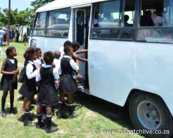 Thousands of pupils could be stranded due to transport standoff - DispatchLIVE