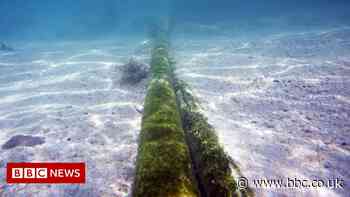 Tonga tsunami: Communications 'may be down for two weeks'