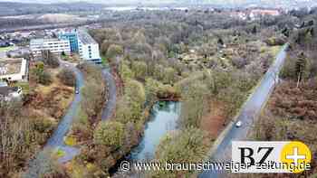 Wohnen mit Harzblick in Salzgitter-Bad