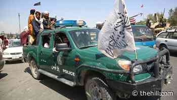GOP lawmakers press administration on US weapons left behind in Afghanistan