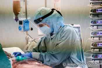 Live - Wereldgezondheidsorganisatie WHO: ‘Coronapandemie is nog lang niet voorbij’