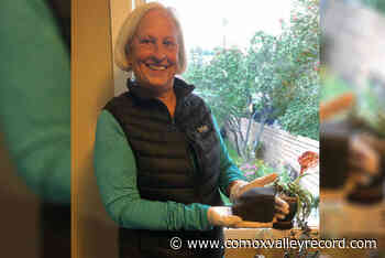 Scientists study trajectory of meteorite that landed in B.C. in October - Comox Valley Record