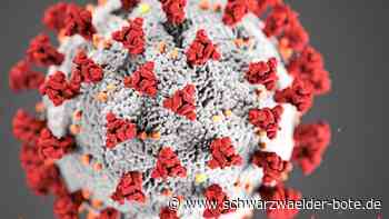 Corona im Kreis Calw: Trotz 246 Neuinfektionen unter 500-er-Marke