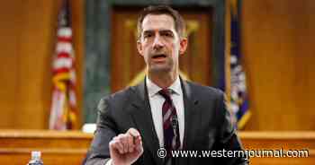 Tom Cotton Throws Himself in the Way of Biden's Alleged Plan to Let Males Into Female Jails