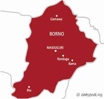 Over 100 IDPs homeless as fire destroys shelters in Borno - Daily Post Nigeria